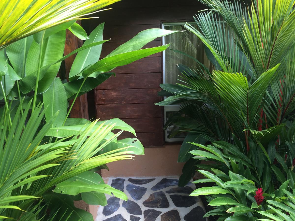 Hotel Mussaenda, Arenal à La Fortuna Extérieur photo